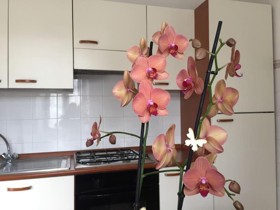 Apartamento Narni.Umbria Narni Scalo Exterior foto